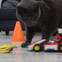 129: Mint Connor bikáé