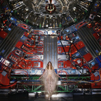 240: Vérből és fizetésből élők