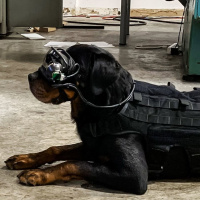 128: Vaugmented reality