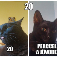 125: Csak a Karat kérdése