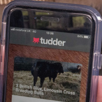 Episode 76: Hús, alkoss, gyarapíts