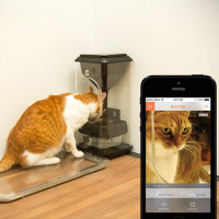 Episode 64: Disznópia