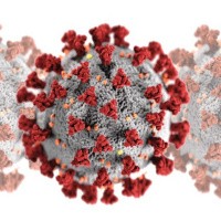 102: Ha kell a wc-papír, akkó vidd