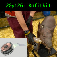126: Röfitbit