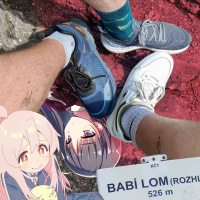 Na rozhlednu za lolifikací a sociálním kreditem