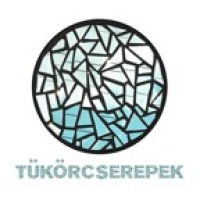 Tükörcserepek - Kajdi József