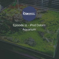 Episode 11 - iPod Dalam Aquarium