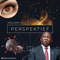 Perspektief: Januarie 2020