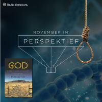 Perspektief: November 2020