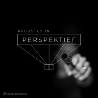 Perspektief: Augustus 2020