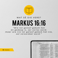 Wat sê die vers? Markus 16:16