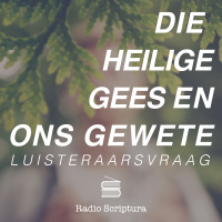 Luisteraarsvraag: Die Heilige Gees en ons gewete