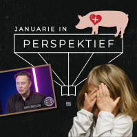 Perspektief: Januarie 2022