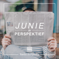 Perspektief: Junie 2019