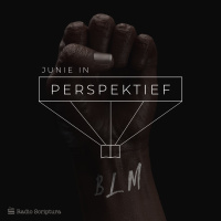 Perspektief: Junie 2020