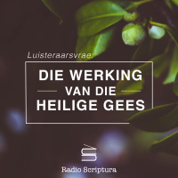 Luisteraarsvrae: Die werking van die Heilige Gees