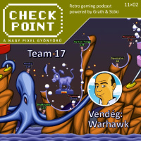 Checkpoint 11x02 - Team 17