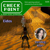 Checkpoint 8x06 - Eidos