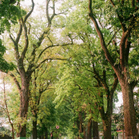 KHADIJAH Kisah Cinta Terindah Sang Nabi Ustadz Muhammad Nuzul Dzikri Lc