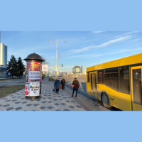 Leacurile băbești împotriva coronavirusului