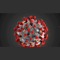 China se erijează în lider mondial anti-virus