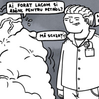 #367 Epic Gogonele Store