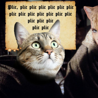 #369 Il Gioco Della Rosa