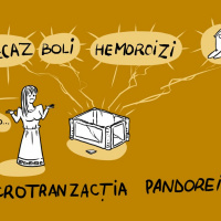 #43 Microtranzactia Pandorei