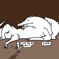 #343 Unde Nu-i Cap Vai De Com