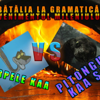 #163 Care Pe Și Care