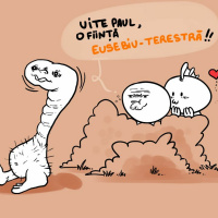 #111 Israel E Toscana Fără Copaci