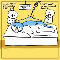 #55 Replicatoare cu de toate