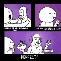 #305 Brăileanul Albinelor