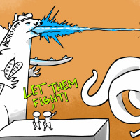 #296 Zero Săptămâni De La Ultimul Incident