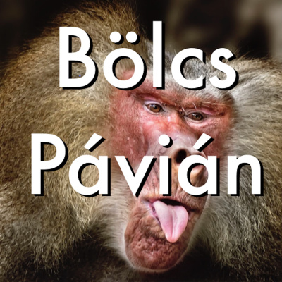 Bölcs Pávián Podcast
