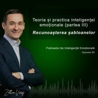 Ep.95 - Teoria și practica inteligenței emoționale (partea 3) - Recunoașterea șabloanelor