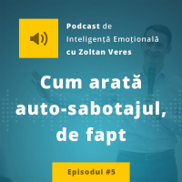 EP.05 - Cum arata auto - sabotajul, de fapt