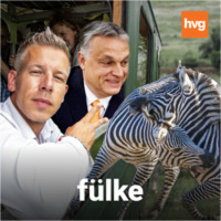 Dull Szabolcs a Fülkében: Magyar Péter a zebrákra mutat, de Orbán vagyonát meséli el velük