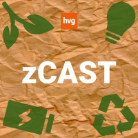 zCast: Hogyan működnek a jövőbiztos cégek?