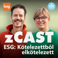 zCast: Az ESG tényleg azt jelentené, hogy “egyre sokasodó gondok”?
