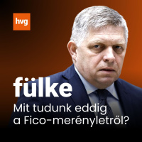 Fülke: Minden, amit a Fico-merényletről jelenleg tudni lehet