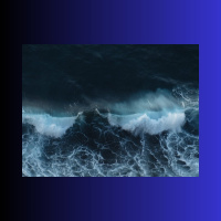 211: Tech Recruiter cunami