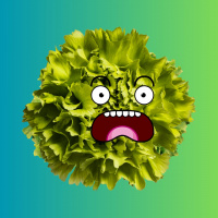 191: Sikítós saláta