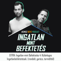 EXTRA: Ingatlan mint Befektetés 4: Különleges ingatlanbefektetések (rendelő, garázs, termőföld)