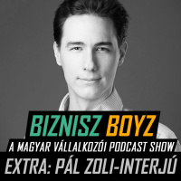 Extra - Ügynökségi hatékonyság csúcsrajáratva: folyamatok, automatikák — Pál Zoli interjú