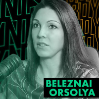 Beleznai Orsolya (Wagner Solar): 12 millárdról 5 milliárdra - ilyen a válságmenedzsment a valóságban