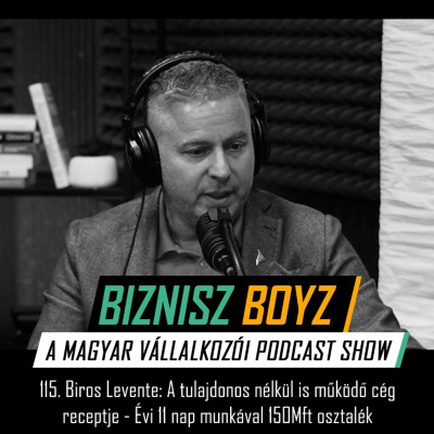 Biznisz Boyz: A Magyar Vállalkozói Podcast Show