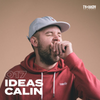 017: IDEAS - Calin
