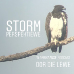 Storm Perspektiewe