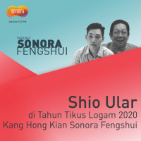 Ramalan Shio Ular di Tahun Tikus Logam 2020 Bersama Kang Hong Kian Sonora Fengshui